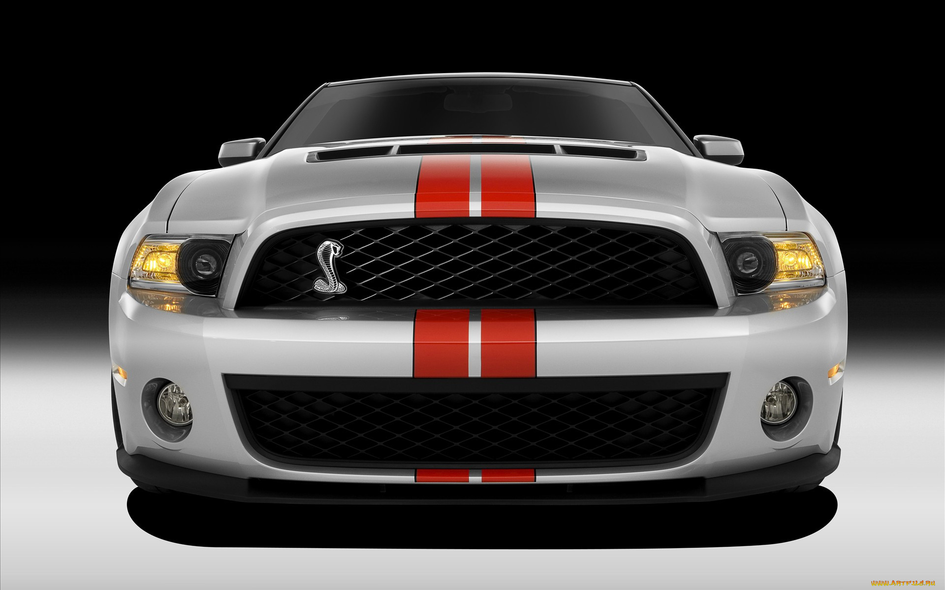 ford, shelby, gt5, , mustang
